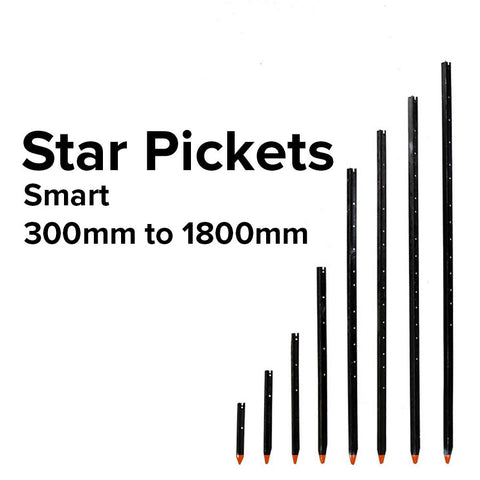 10 x Star Pickets (Smart)